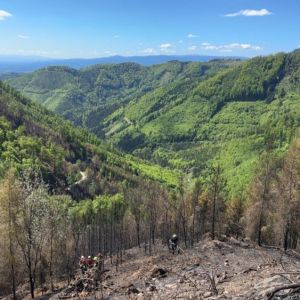 WaldbrandRein (13)